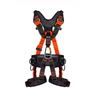 CINTO SEG PARAQ ALTISEG ONYX PRO TM1