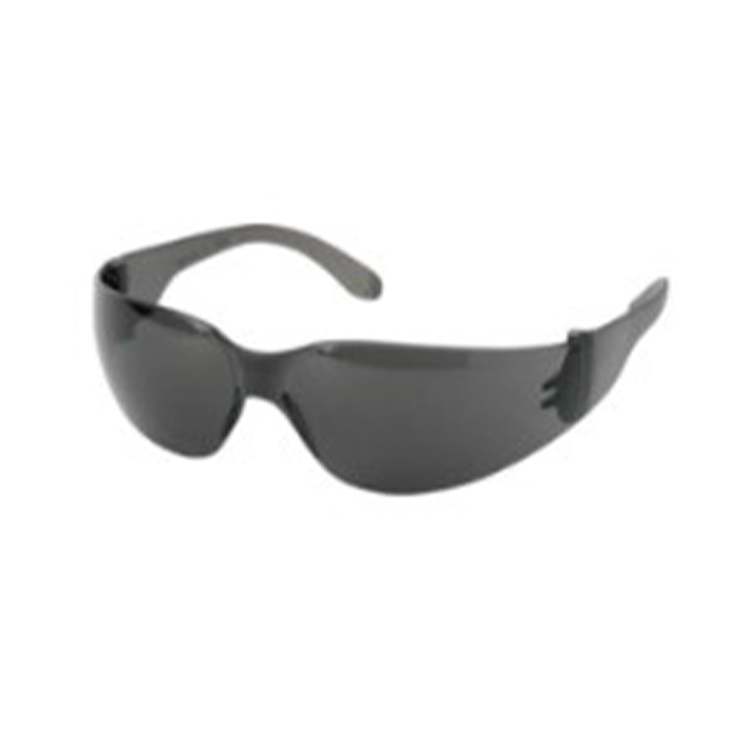 OCULOS MSA SUNBIRD CINZA - ANTI RISCO